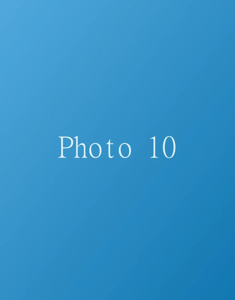 Photo 10