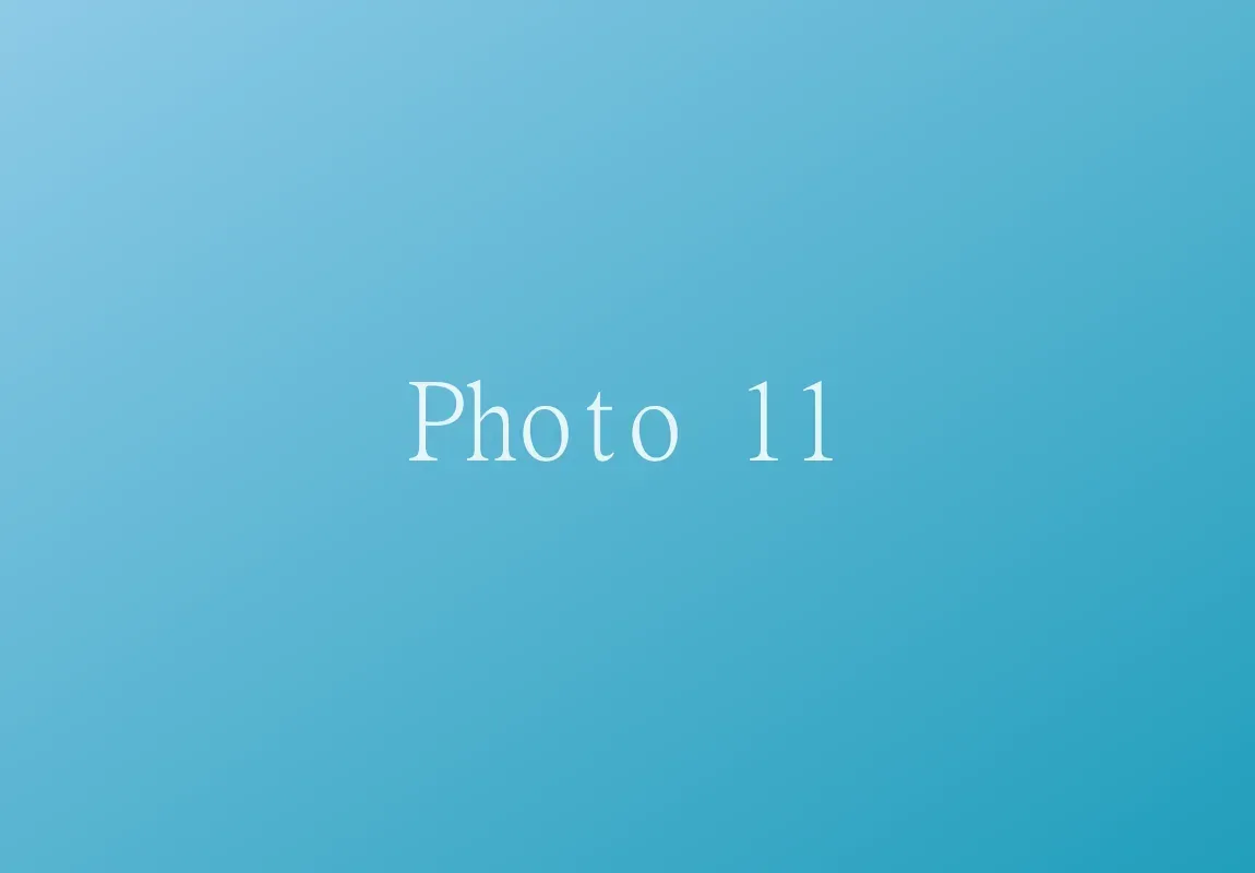 Photo 11