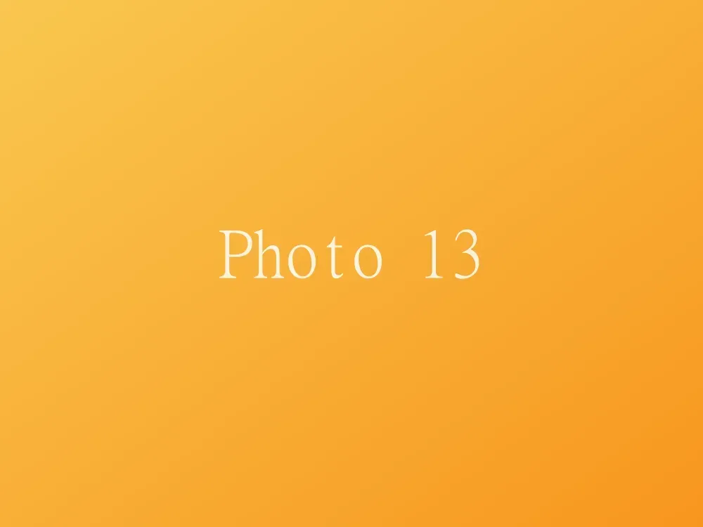 Photo 13