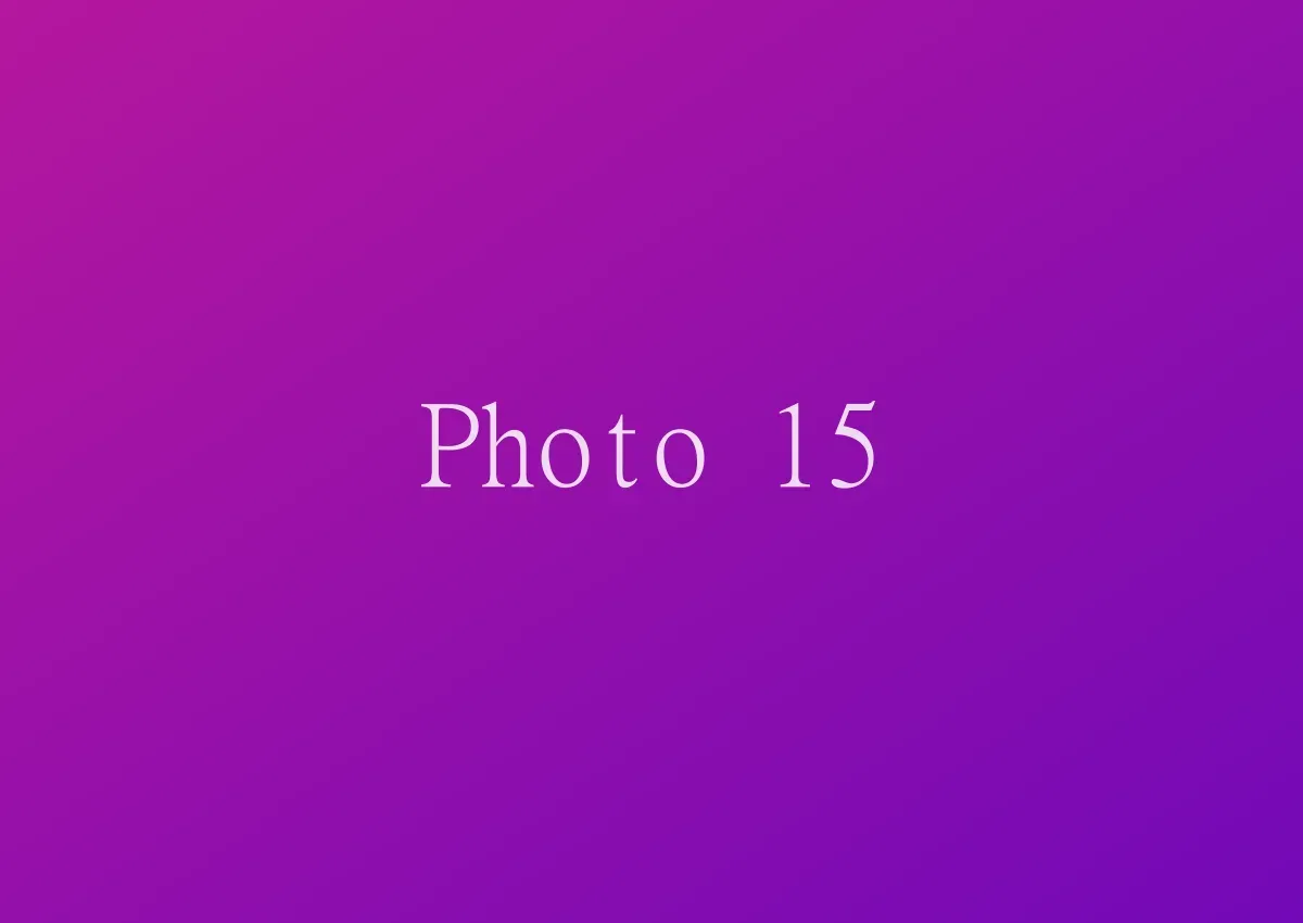 Photo 15