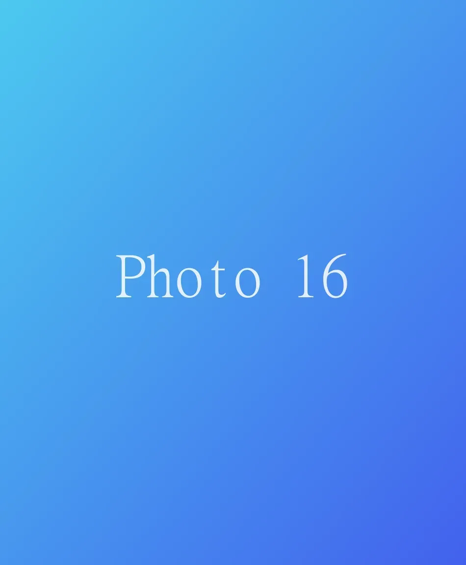 Photo 16