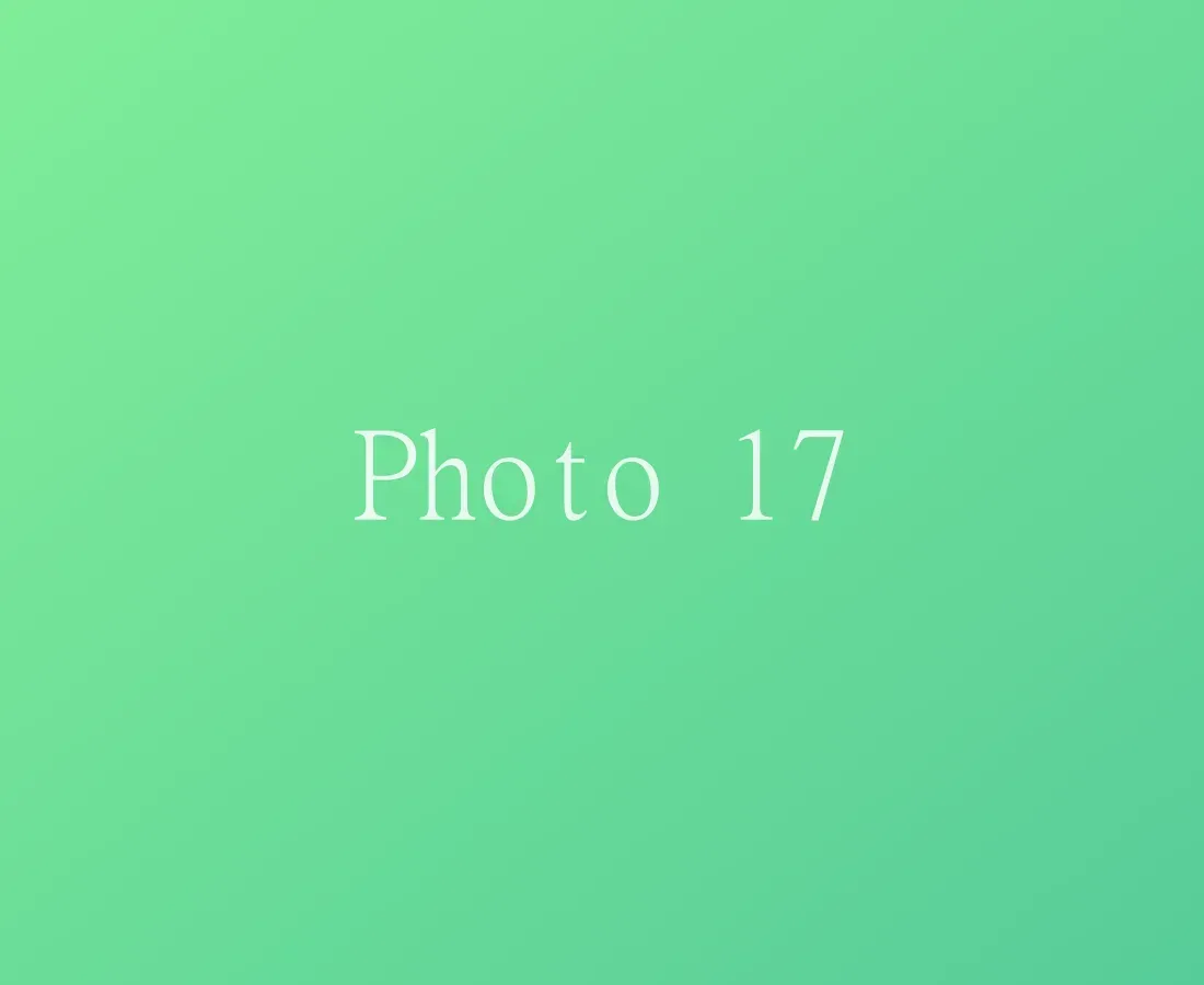 Photo 17