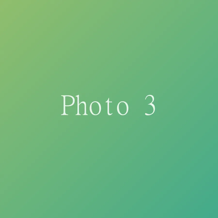 Photo 3