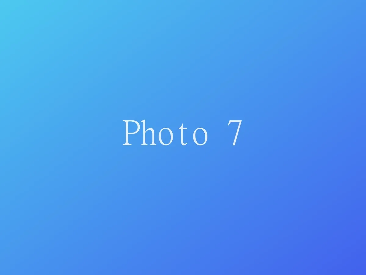 Photo 7