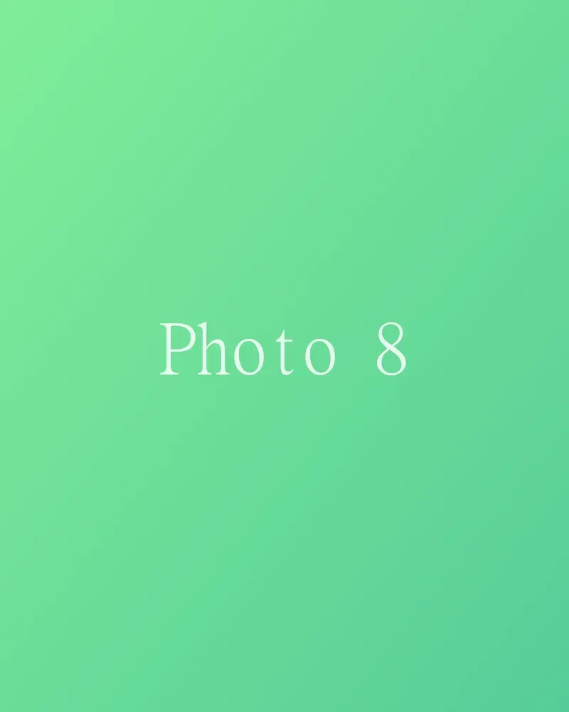 Photo 8